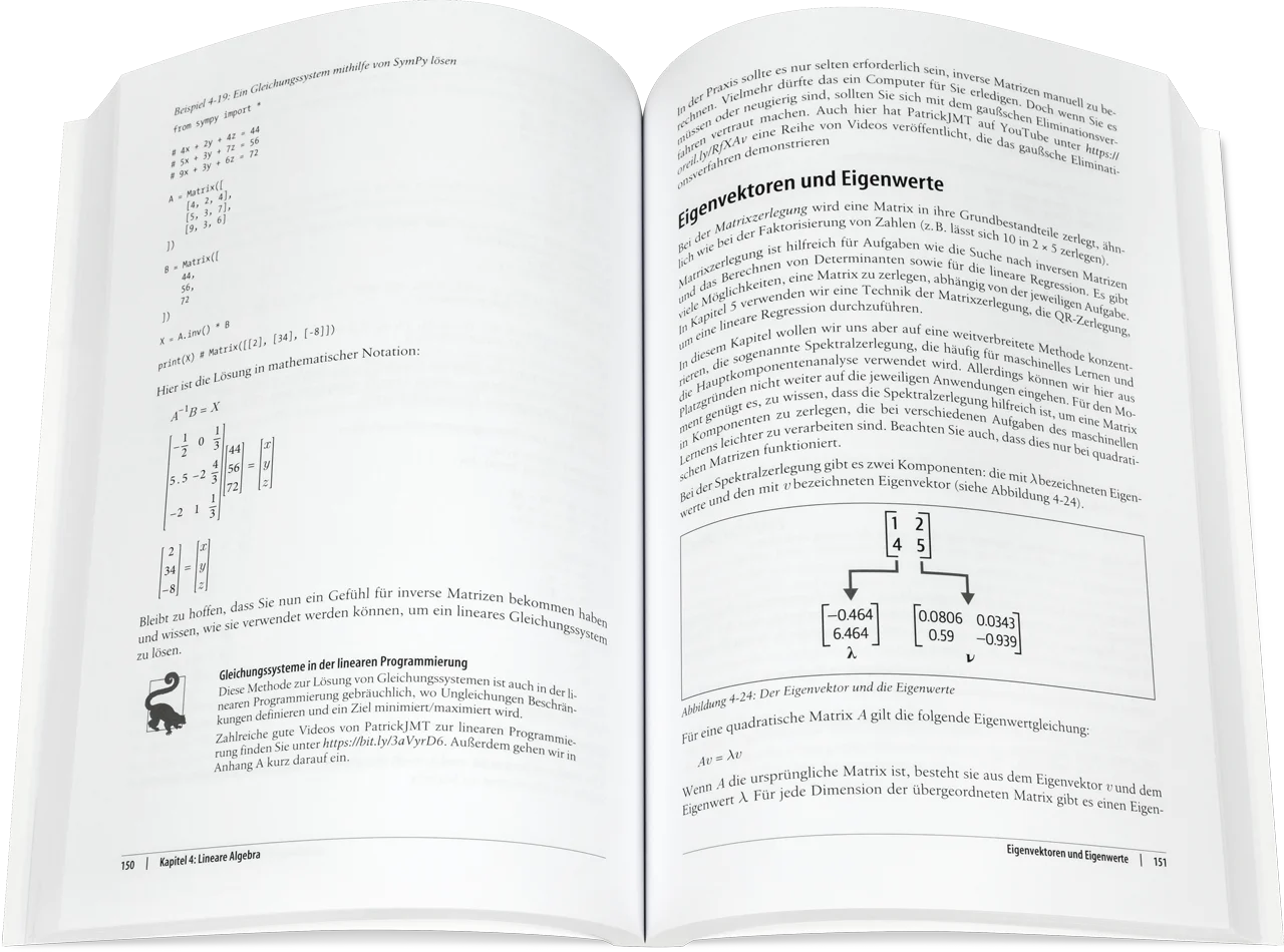Blick ins Buch: Mathe-Basics für Data Scientists