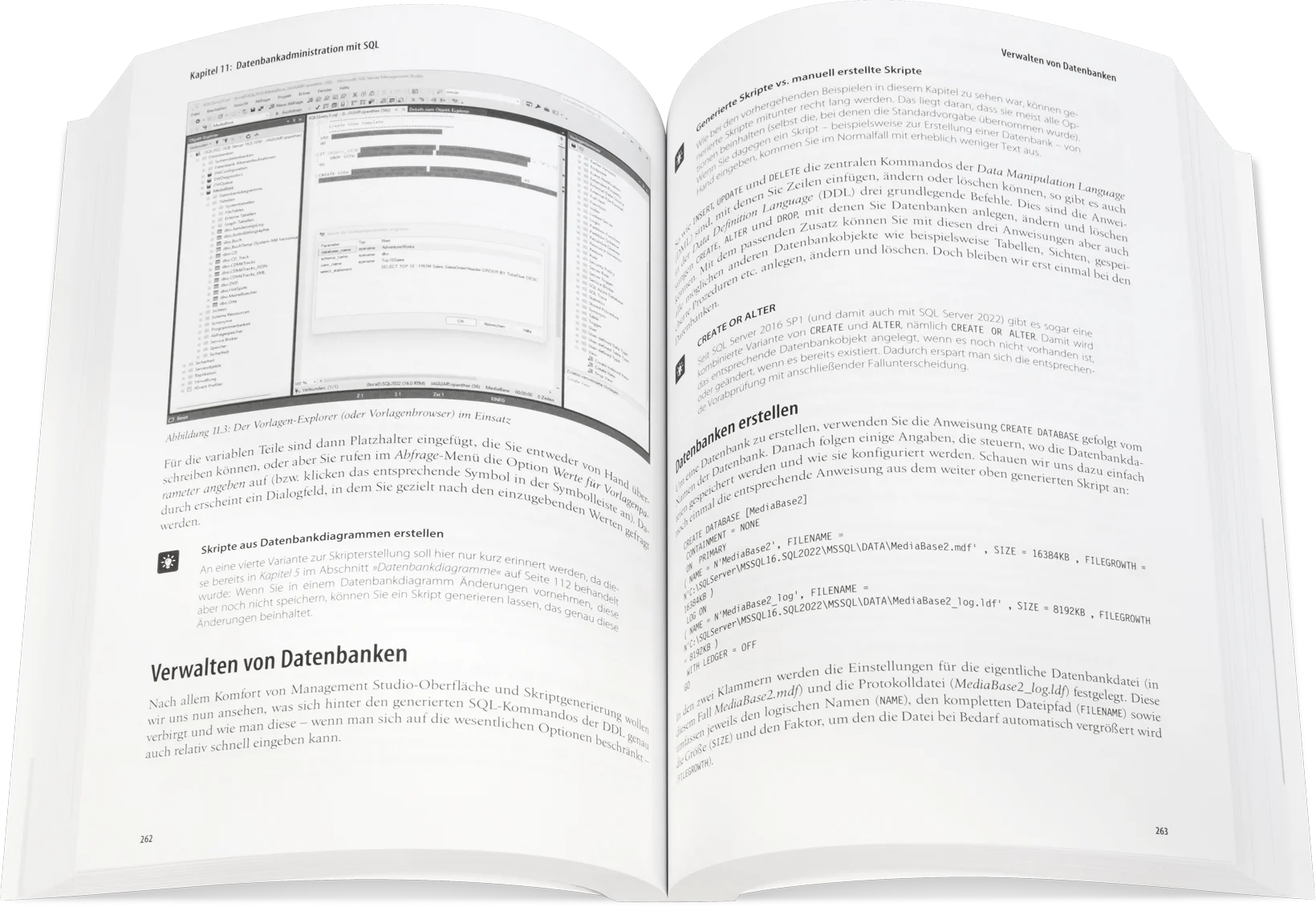 Blick ins Buch: Datenbankentwicklung lernen mit SQL Server 2022