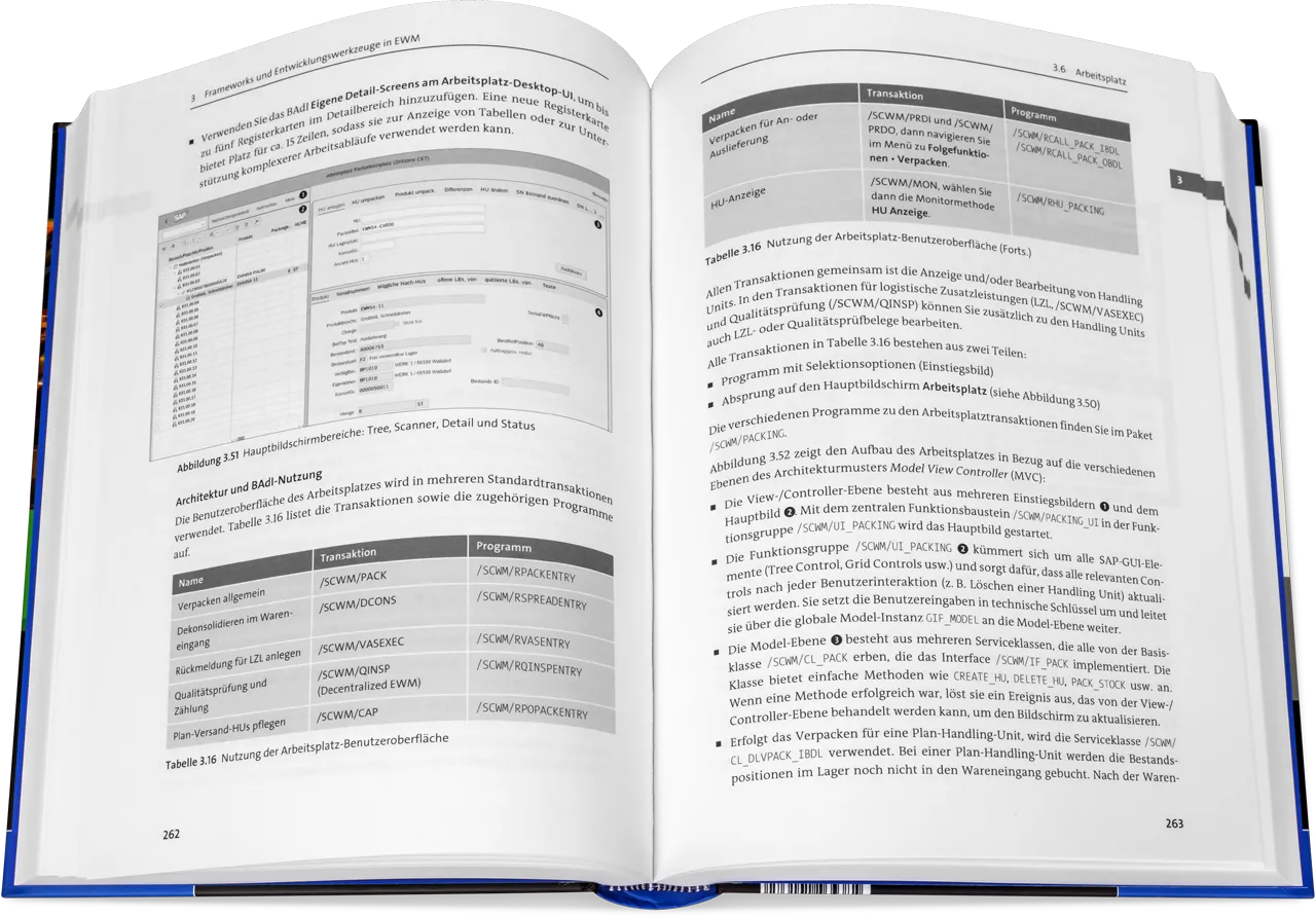 Blick ins Buch: EWM mit SAP S/4HANA - Architektur und Programmierung