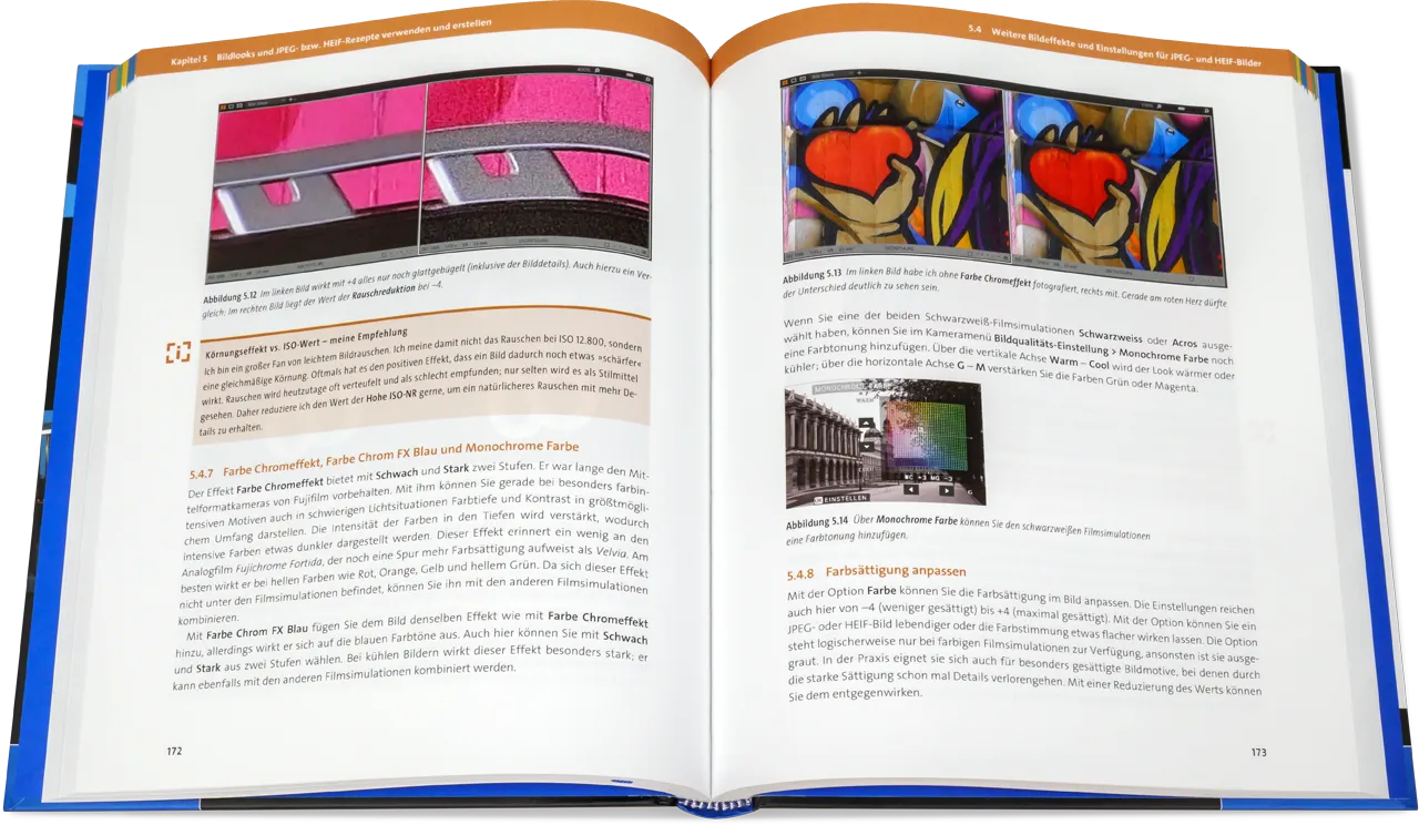 Blick ins Buch: Fujifilm X100VI - Das Handbuch zur Kamera