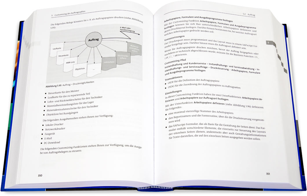 Blick ins Buch: Instandhaltung mit SAP S/4HANA - Customizing