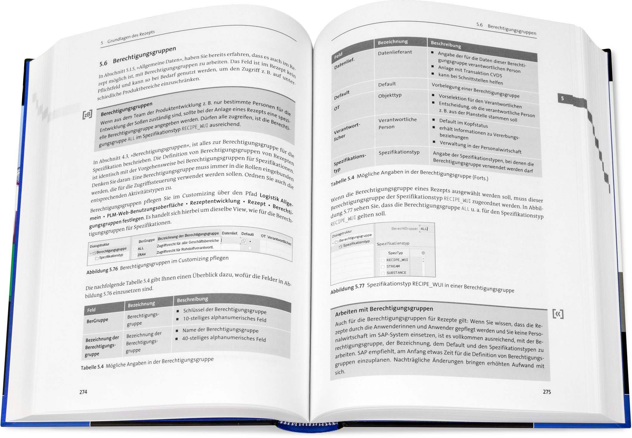 Blick ins Buch: Produktentwicklung mit SAP Recipe Development