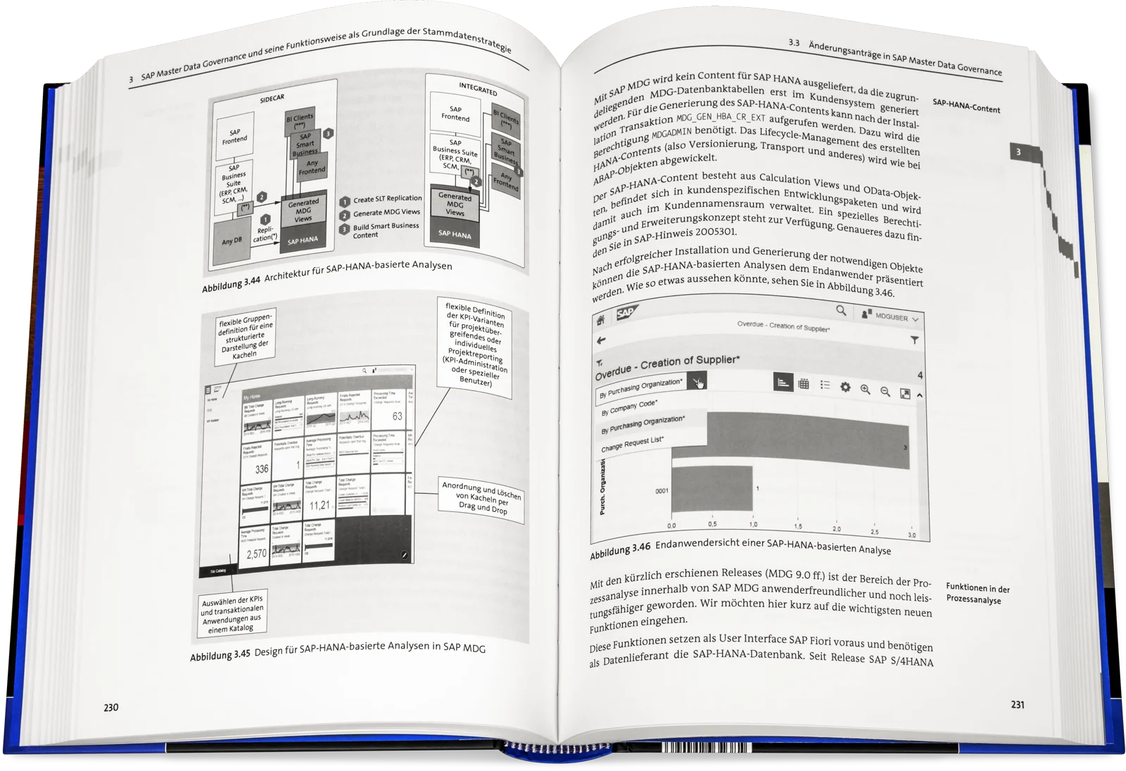 Blick ins Buch: Stammdatenmanagement mit SAP Master Data Governance
