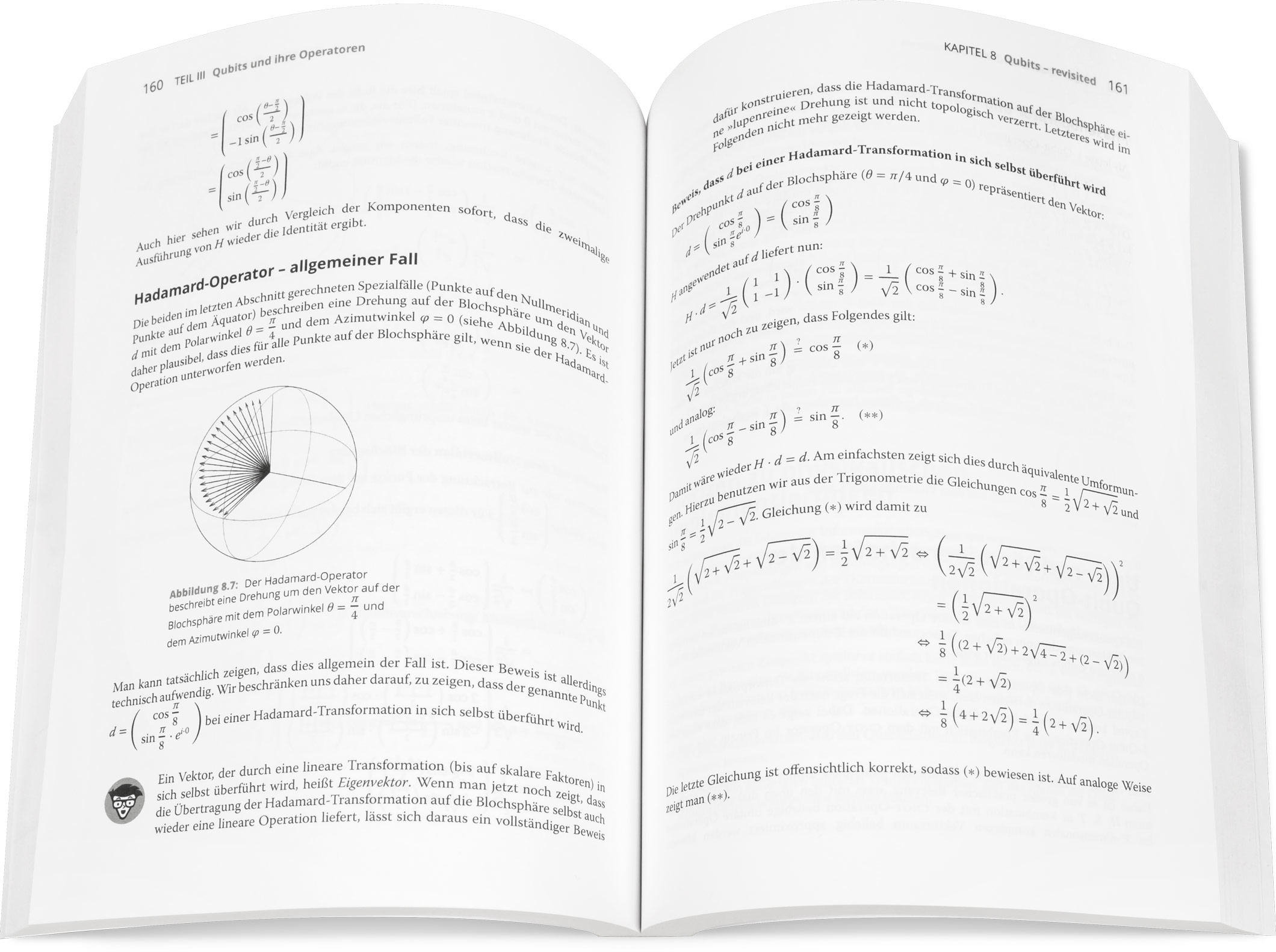 Blick ins Buch: Quantencomputing für Dummies
