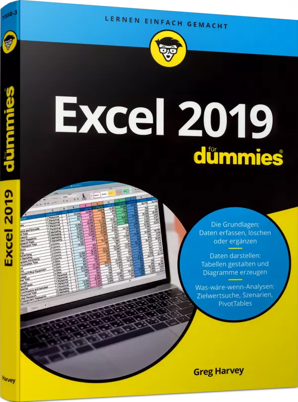 Excel 2019 für Dummies